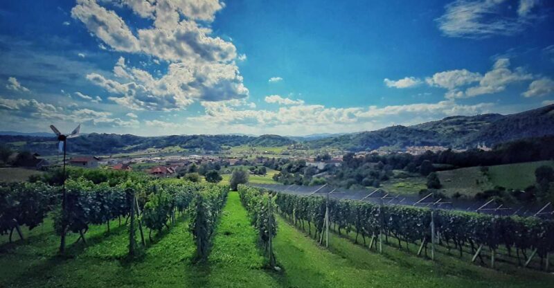 From Zagreb: Samobor & Plesivica Wine Road, Private - An In-Depth Look at the Samobor & Plesivica Wine Road Tour