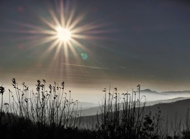 From Zagreb: Samobor & Plesivica Wine Road, Private - Who Should Consider This Tour?