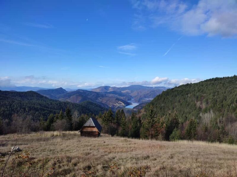 From Zlatibor/Uice: Tara National Park Adventure - Zaovine Lake and Nearby Lakes