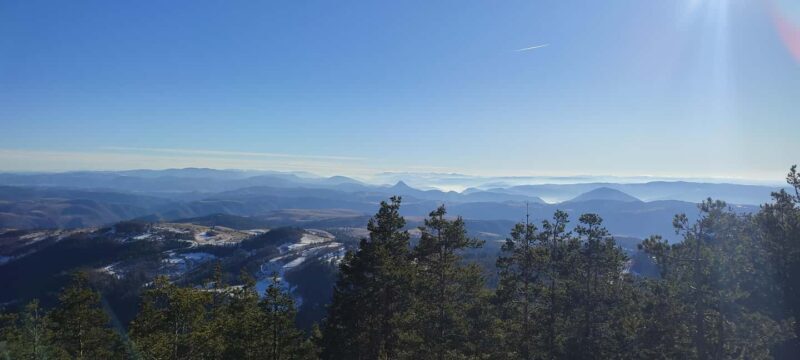 From Zlatibor/Uice: Tara National Park Adventure - Who Will Love This Tour?