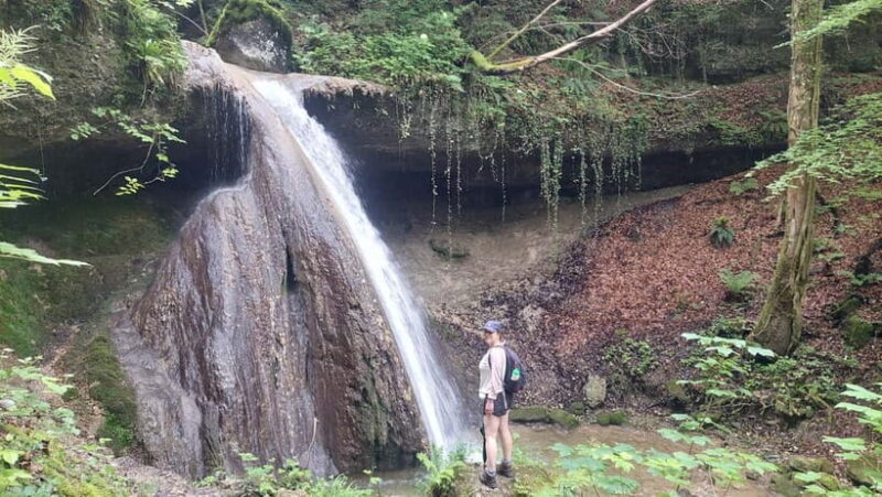 From Zug: Lorze Valley Forest Hike with Guide and Bus - How Does the Price Stack Up?