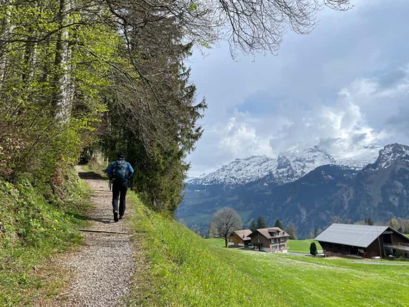 From Zug: Mythen Region Guided Hike with Gondola Rides - A Deep Dive into the Mythen Guided Hike Experience
