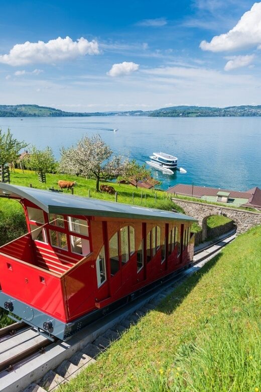 From Zurich: Funicular to Mt. Bürgenstock & Lake Lucerne - Key Points