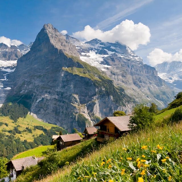 From Zurich: Interlaken and Grindelwald Private Day Tour - FAQ