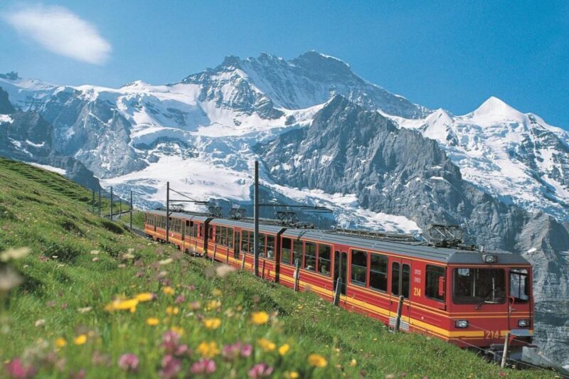 From Zurich: Jungfraujoch Guided Day Tour with Cogway Train - The Experience in Detail