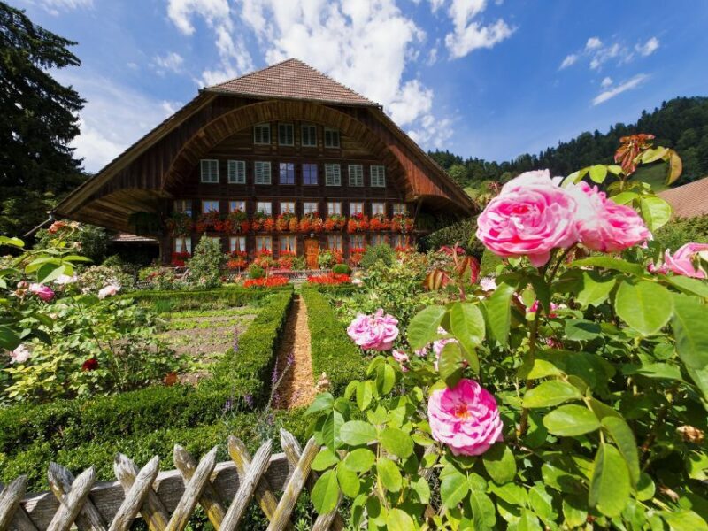 From Zurich/Lucerne: Berne Capital and Countryside Day-Trip - The Scenic Drive Through Swiss Valleys