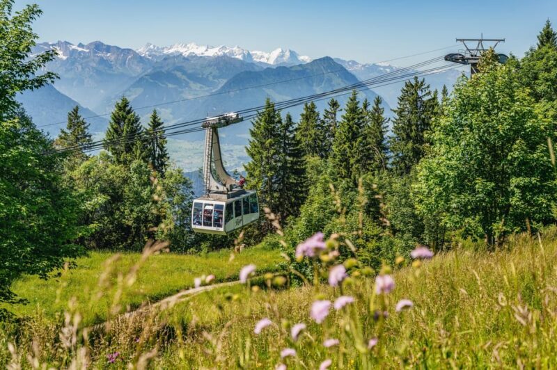 From Zurich: Mount Rigi and Lucerne Small-Group Day Trip - An In-Depth Look at the Tour Experience