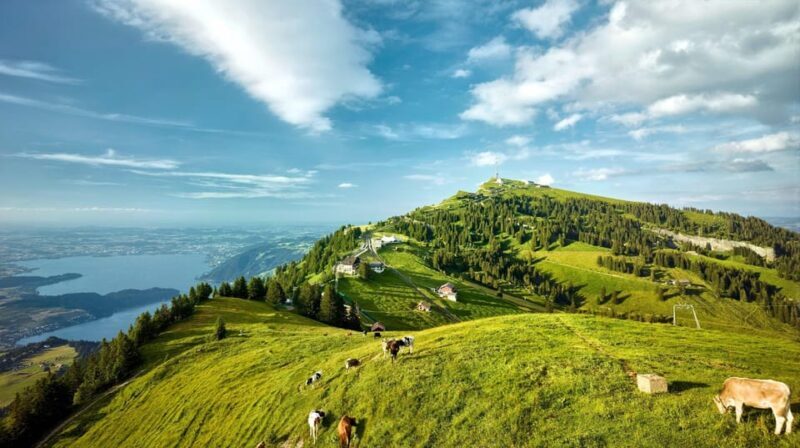 From Zurich: Mount Rigi and Lucerne Small-Group Day Trip - Final Thoughts