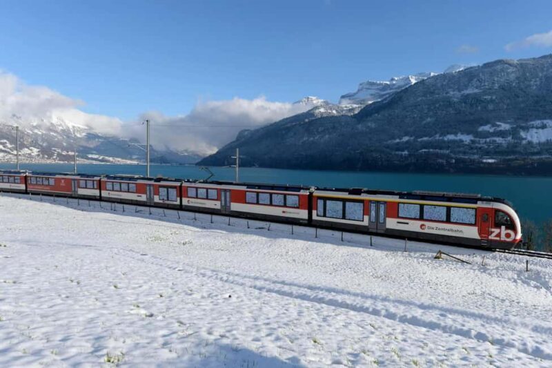 From Zurich: Premium Panoramic Train, Lucerne & Interlaken - Who Should Consider This Tour?
