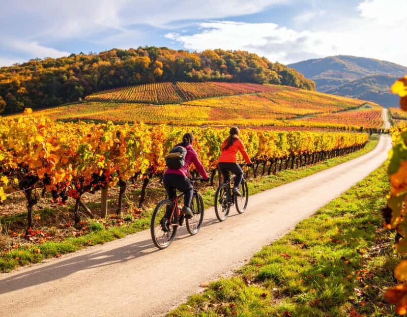 Fronsac: E-bike tour in the vineyards & tasting at La Closerie - Setting Off on Your Fronsac Adventure