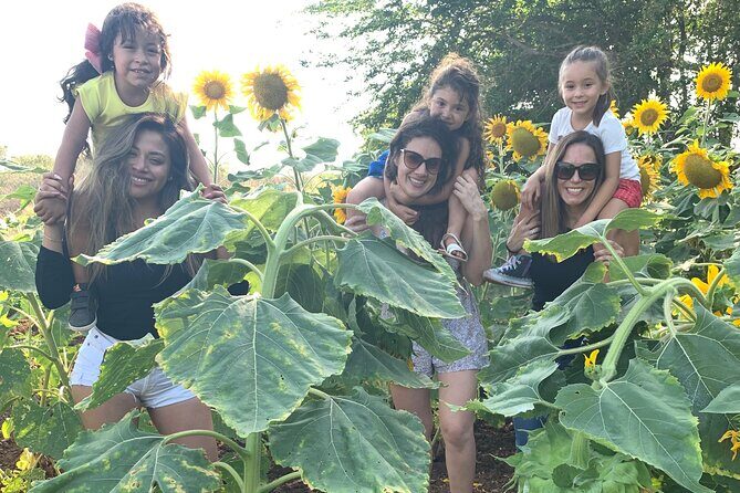 Fruit Garden and Mezcal Tasting Tour with Lunch Included - Final Thoughts