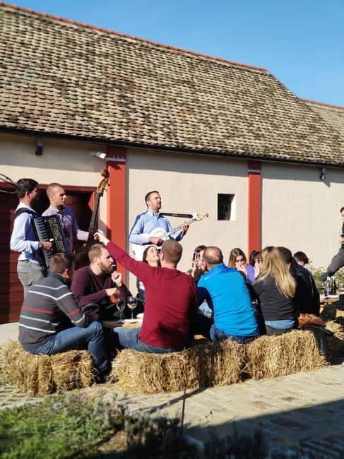 Fruka Gora Wine Tasting - The Journey Through Fruka Gora: What to Expect