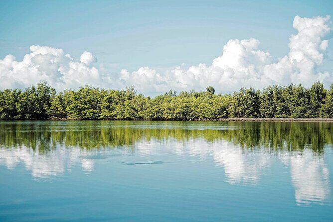 Ft Lauderdale to Islamorada Tour with Boat Ride and Lunch - Transportation & Overall Comfort