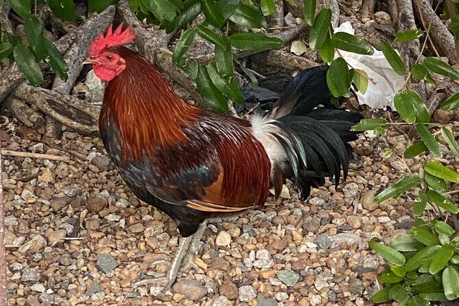 Ft. Lauderdale to Key West Day Trip Quality Day Tours - FAQ About the Ft. Lauderdale to Key West Day Trip