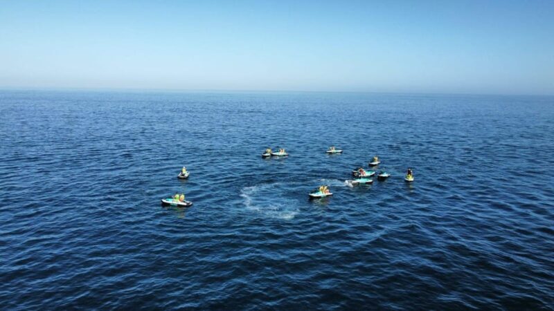 Fuengirola: Best Jet Ski Rental - Considering the Price: Is It Worth It?