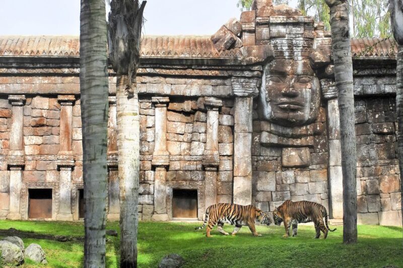 Fuengirola: Bioparc Entrance Ticket - Key Points