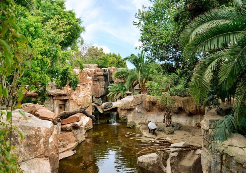 Fuengirola: Bioparc Entrance Ticket - What You Can Expect from Your Visit