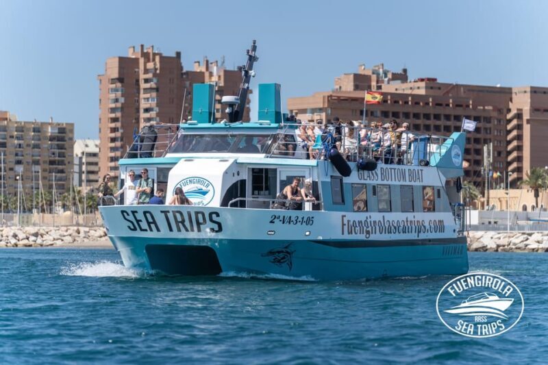 Fuengirola: Catamaran Tour to Spot Dolphins - What to Expect on the Tour