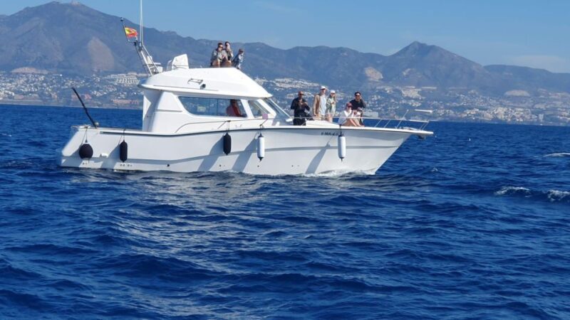 Fuengirola: Dolphin Watching Boat Trip  Fun for All Ages - Practical Considerations and Tips