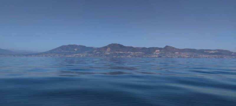 Fuengirola: Fantastic Dolphin Watching Yacht Tour with Drink - Who Will Love This Tour?