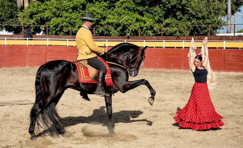 Fuengirola: Spanish Horse Show with Optional Dinner/Flamenco - Key Points