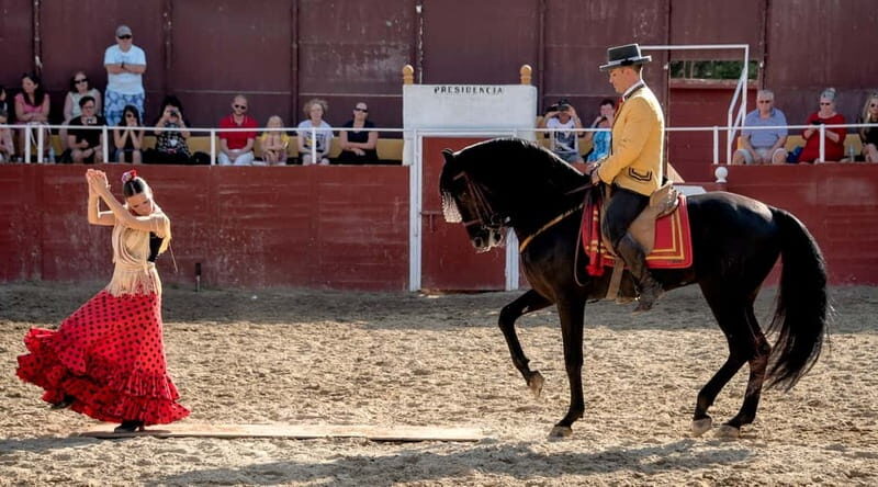 Fuengirola: Spanish Horse Show with Optional Dinner/Flamenco - Flamenco: The Heart of Andalusian Passion
