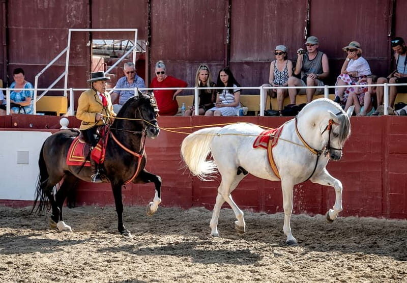 Fuengirola: Spanish Horse Show with Optional Dinner/Flamenco - FAQ