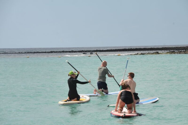 Fuerteventura: 1.5-Hour SUP Course - Caleta de Fuste - The Bottom Line