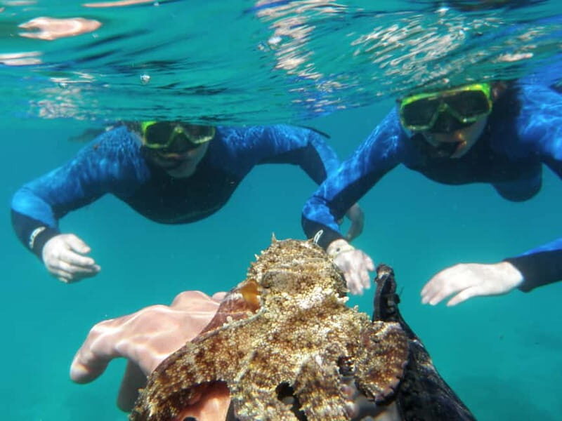 Fuerteventura: 1-hour private mini-cruise to Lobos Island - Who Should Consider This Tour?