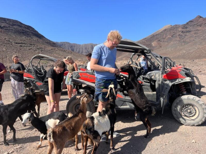 Fuerteventura : 2 hours Buggy Tour in Punta de Jandía - The Verdict: Who Should Consider This Tour?
