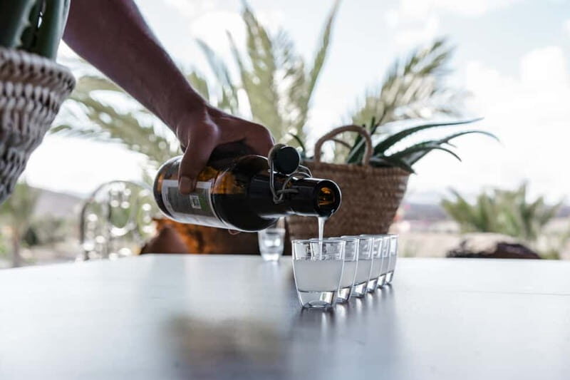 Fuerteventura Aloe & Olivo Tour with Optional Lunch - Frequently Asked Questions