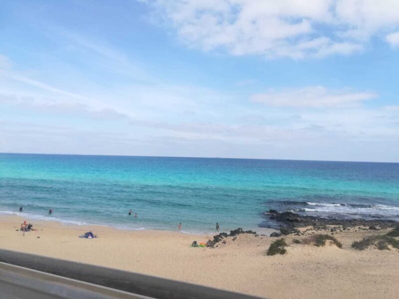 Fuerteventura: Corralejo Sand Dunes Guided Shore Excursion - The Sum Up