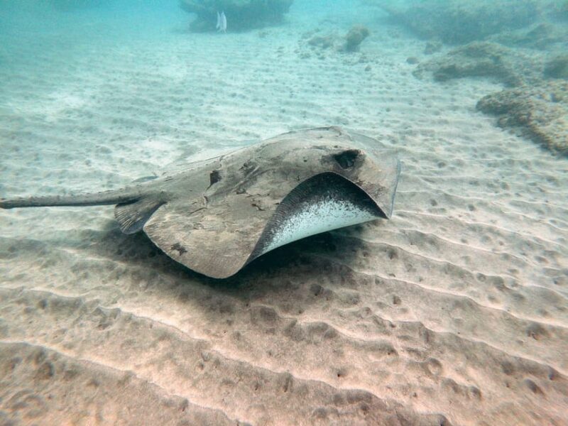 Fuerteventura: Discover Scuba Diving - Final Thoughts