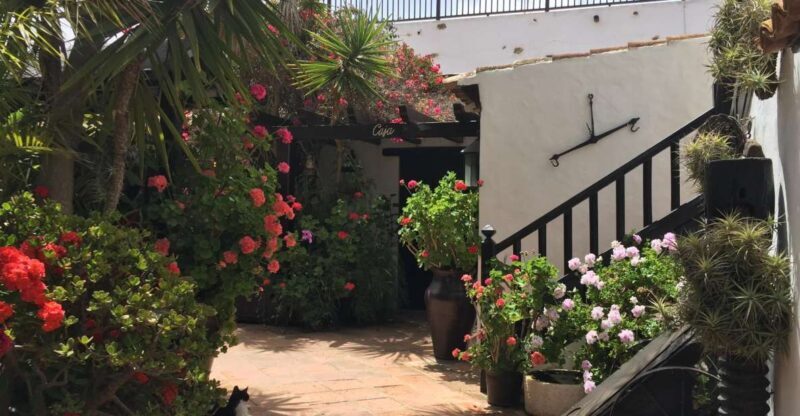 Fuerteventura: Discovery Tour - Key Points