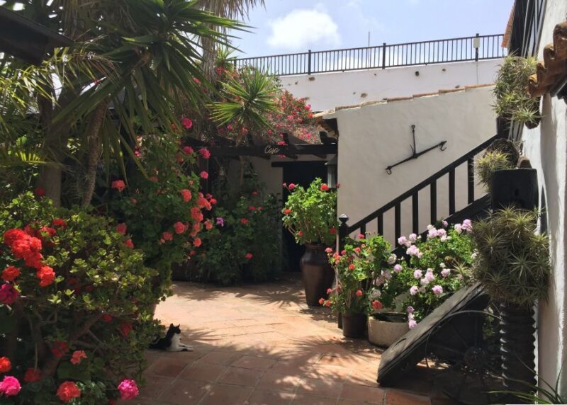 Fuerteventura: Discovery Tour - A Closer Look at Fuerteventuras Discovery Tour