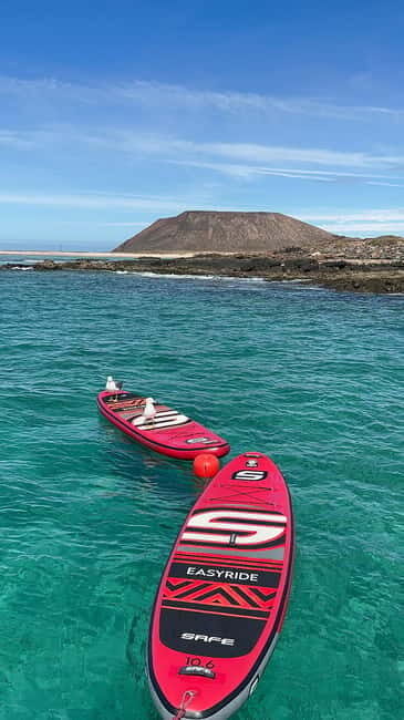 Fuerteventura: Dolphin watching and Lobo Island Combo Cruise - What We Love About This Tour
