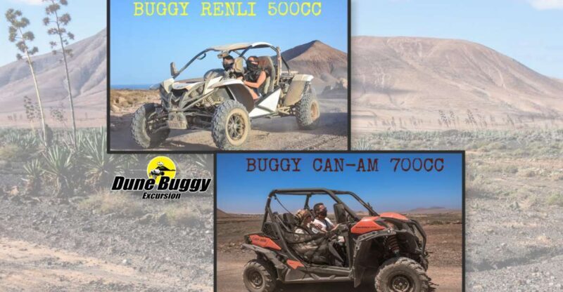 Fuerteventura: Dune Buggy Tour in Northern Fuerteventura - Introduction to the Experience