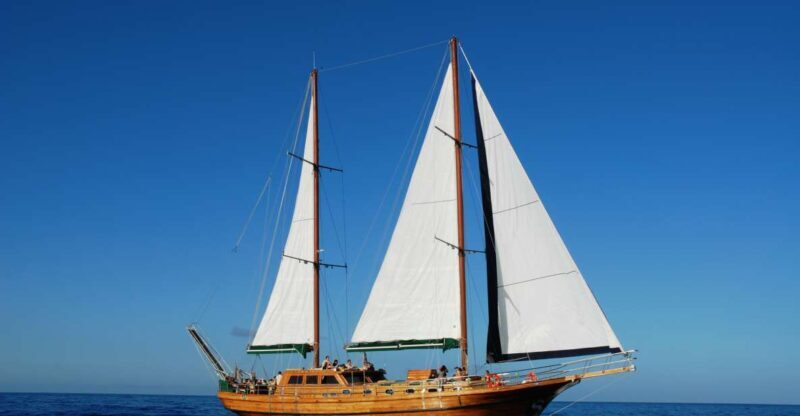 Fuerteventura: Exclusive Turkish Gulet Cruise with Lunch - Why This Cruise Might Be Perfect for You