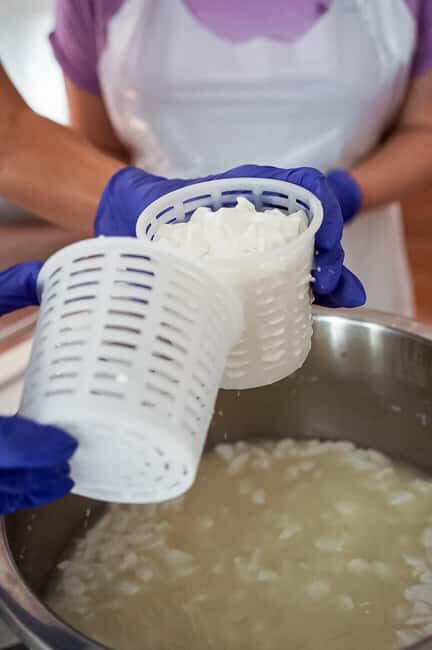 Fuerteventura Gourmet Goat Cheese Workshop - Key Points