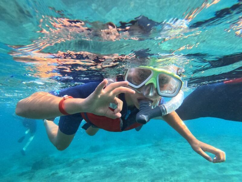 Fuerteventura: Guided Snorkeling in La Lajita with Pickup - Final Thoughts