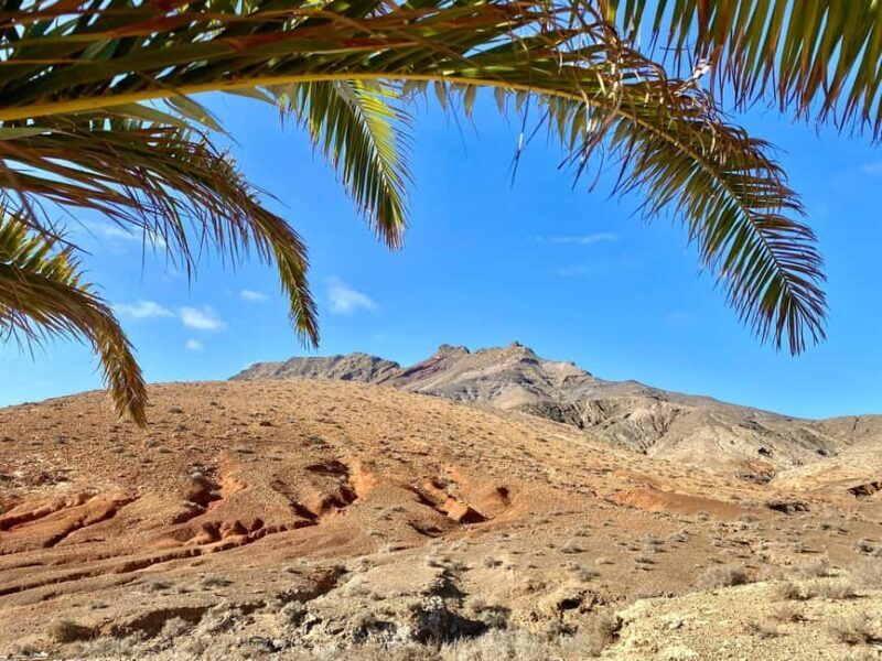 Fuerteventura Hiking on the sacred mountain El Cardon - Key Points