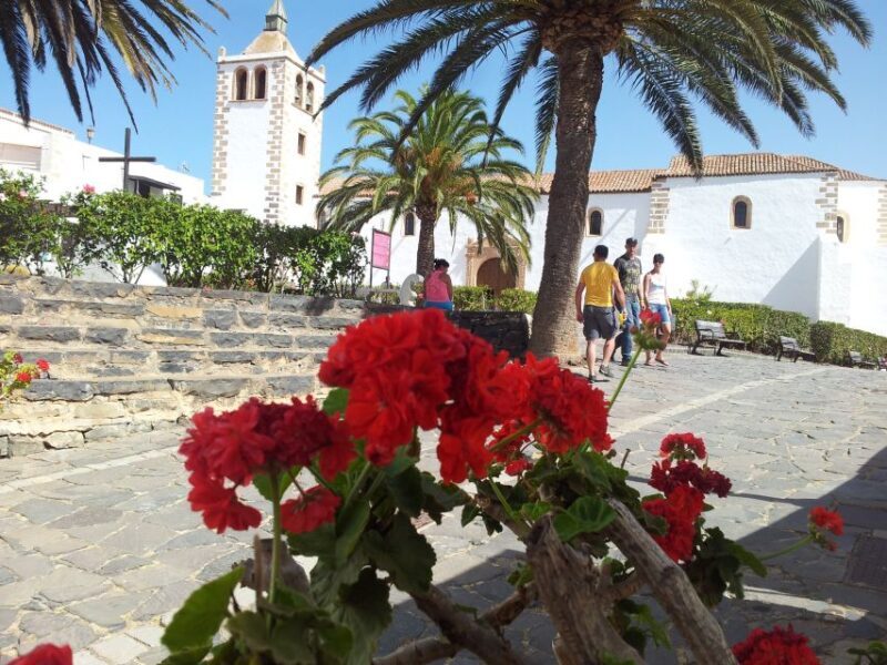 Fuerteventura: Island Tour by Minibus - Frequently Asked Questions (FAQ)