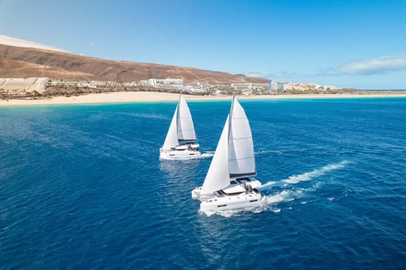 Fuerteventura: Magic Dreams Luxury Catamaran with dolphin watching. - An Honest Look at the Luxury Catamaran Experience