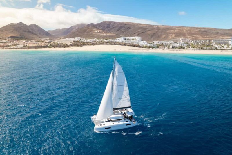 Fuerteventura: Magic Dreams Luxury Catamaran with dolphin watching. - Who Will Love This Tour?