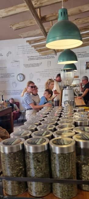 Fuerteventura North with Tapas (food) - Who Is This Tour Best Suited For?