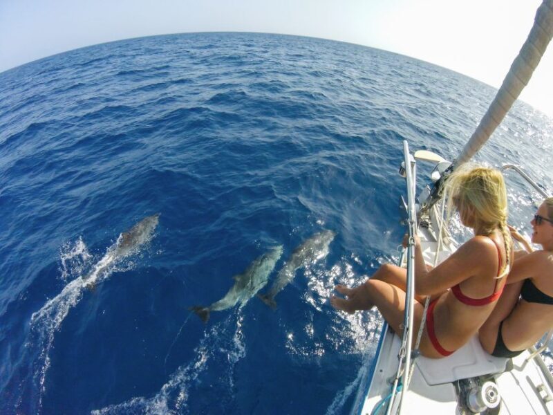 Fuerteventura: Sailing with Snorkeling and Dolphin Watching - FAQ
