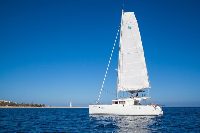 Fuerteventura: Small-Group Magic Deluxe Catamaran Cruise - The Honest Assessment: What Could Be Better
