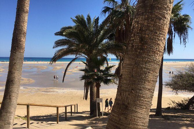 Fuerteventura South Exclusive Tour - FAQs About the Fuerteventura South Private Tour