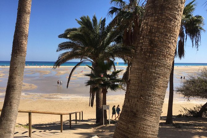 Fuerteventura South Exclusive Tour - Stop 2: Mirador Guise y Ayose at 600 meters