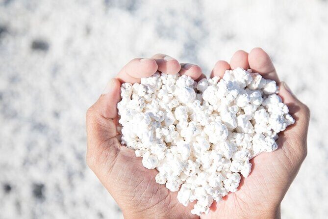 Fuerteventura: The Panoramic Experience. ALL historic highlights. - Key Points